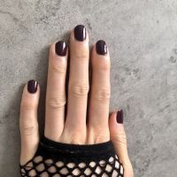 ��ɫ����+��������