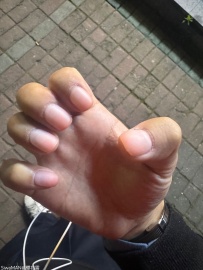 ����һ������ֵ���[3P]