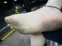 ��ҹ���[16P]