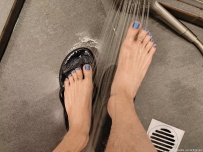 �Ž����׺ϼ�[10P]