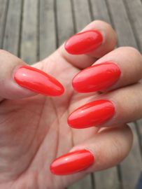 ��ԭ�����Ҿ��ú�ɫָ�׷ǳ��ԸС�[6P]