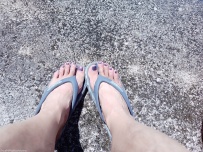 ��㷢�������������������[18P]