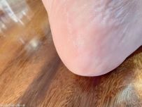 ���յĽ�Ĥʱ��[23P]