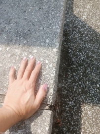 ���ɫ�ļ��ͽ�^^[6P]