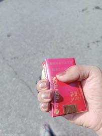 ��ԭ�������ʱ����ϲ����ɫ[5P]