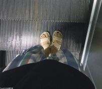 ������¶������ָ������ɫ[10P]