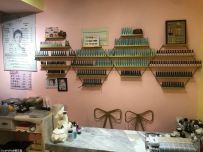 ����+����ɫ[6P]